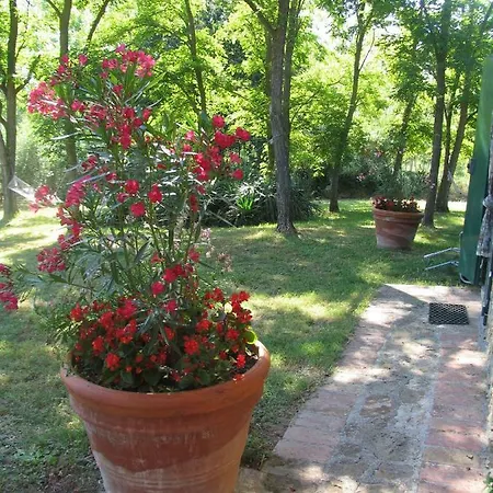 Appartement Grande Sole Montescudaio